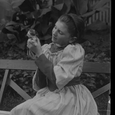 Negative, glass plate