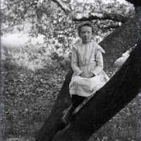 Negative, glass plate