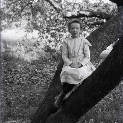 Negative, glass plate