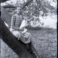 Negative, glass plate