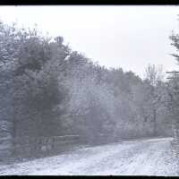 Negative, glass plate