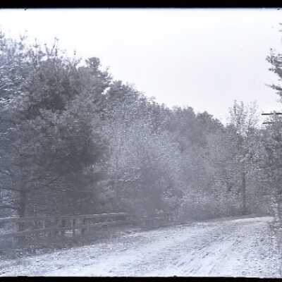 Negative, glass plate