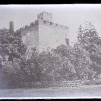 Negative, glass plate