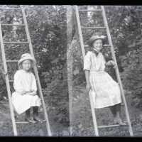Negative, glass plate