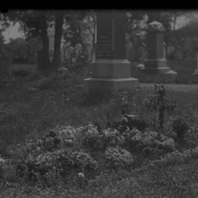 Negative, glass plate