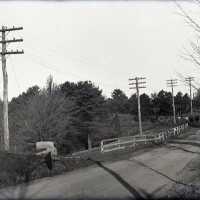 Negative, glass plate