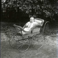 Negative, glass plate