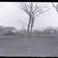 Negative, glass plate