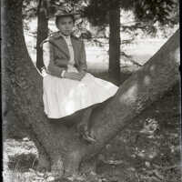 Negative, glass plate