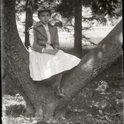 Negative, glass plate