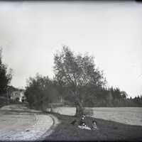Negative, glass plate