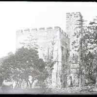 Negative, glass plate