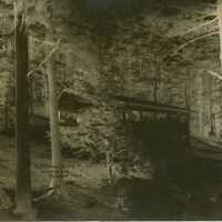 Negative, glass plate