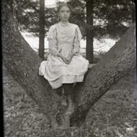 Negative, glass plate