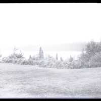 Negative, glass plate