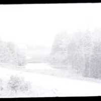 Negative, glass plate