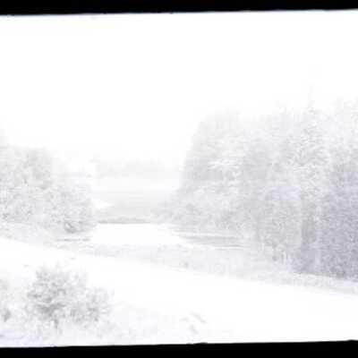 Negative, glass plate
