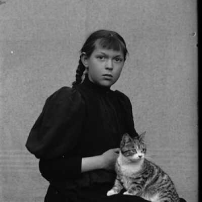 Negative, glass plate