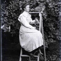 Negative, glass plate