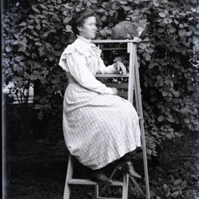 Negative, glass plate