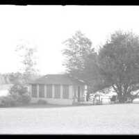 Negative, glass plate