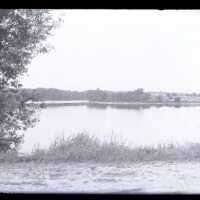 Negative, glass plate