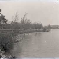 Negative, glass plate