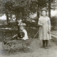 Negative, glass plate