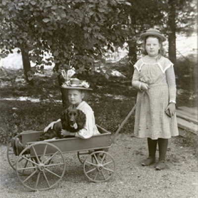 Negative, glass plate