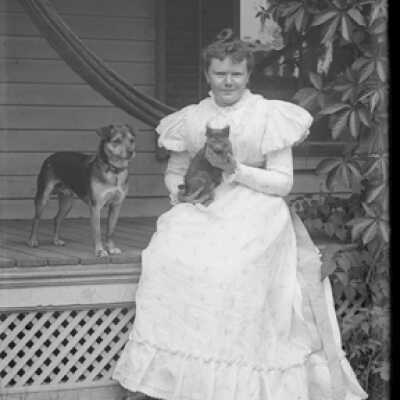 Negative, glass plate