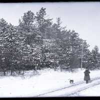 Negative, glass plate