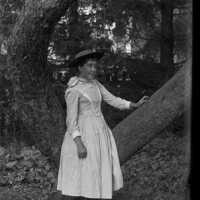 Negative, glass plate