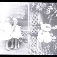 Negative, glass plate