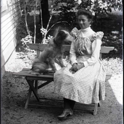 Negative, glass plate