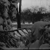 Negative, glass plate