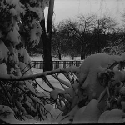Negative, glass plate