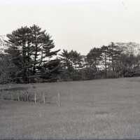 Negative, glass plate