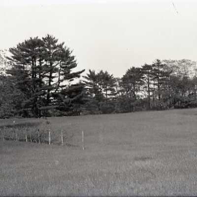 Negative, glass plate
