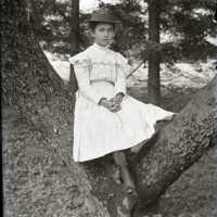 Negative, glass plate