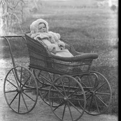 Negative, glass plate