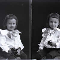 Negative, glass plate