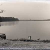 Negative, glass plate