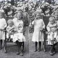 Negative, glass plate