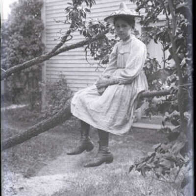 Negative, glass plate
