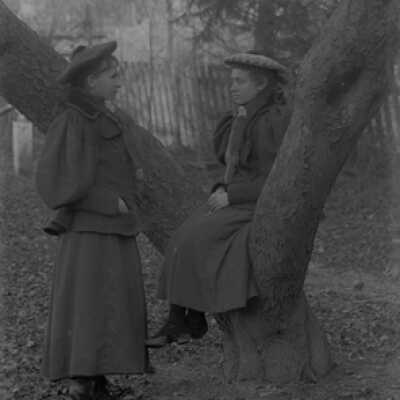 Negative, glass plate