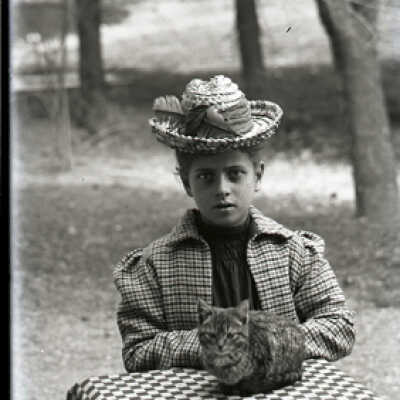 Negative, glass plate