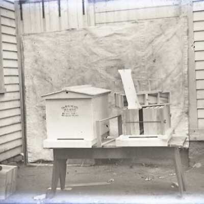 Negative, glass plate