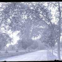 Negative, glass plate