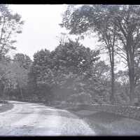 Negative, glass plate