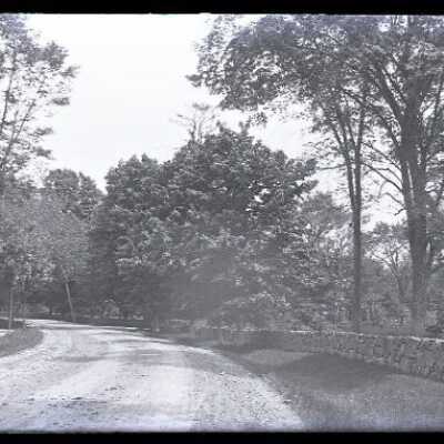 Negative, glass plate